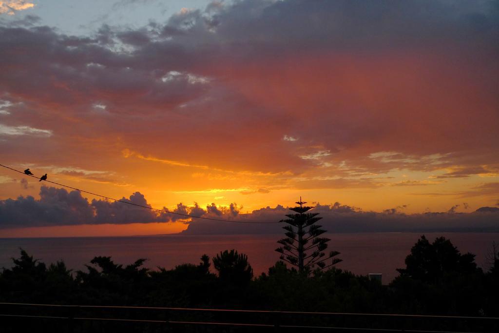 Casa Vacanze La Terrazza Sul Golfo カステッランマーレ・デル・ゴルフォ エクステリア 写真